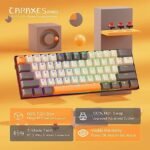 Redragon K644 SE 65% 3-Mode Wireless RGB Gaming Keyboard - Image 2
