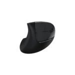 Havit MS550GT Vertical Wireless Mouse