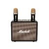 Mushell MA-530 Wireless Karaoke Speaker With Two Wireless Microphone