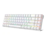 ROYAL KLUDGE RK71 70% Wireless Mechanical Keyboard (BLACK/WHITE COLOR)(SILVER SWITCHES)