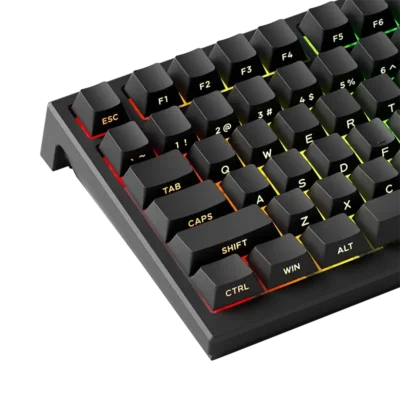 Akko TAC75 HE Rapid Trigger Wired Mechanical Gaming Keyboard